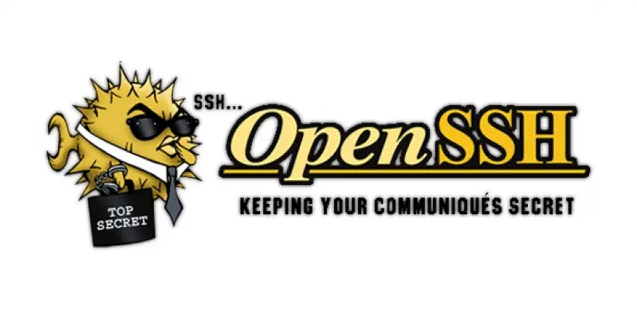 OpenSSH 8.5p1-9.8p1漏洞